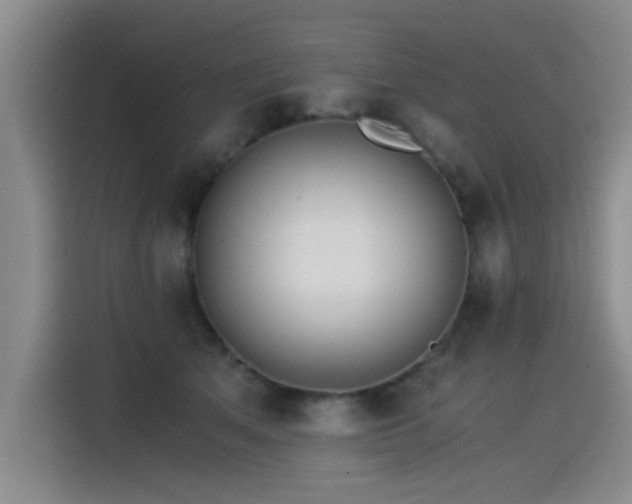 X0000115280513200911061331