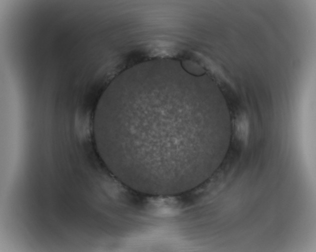 X0000115280517200911061331