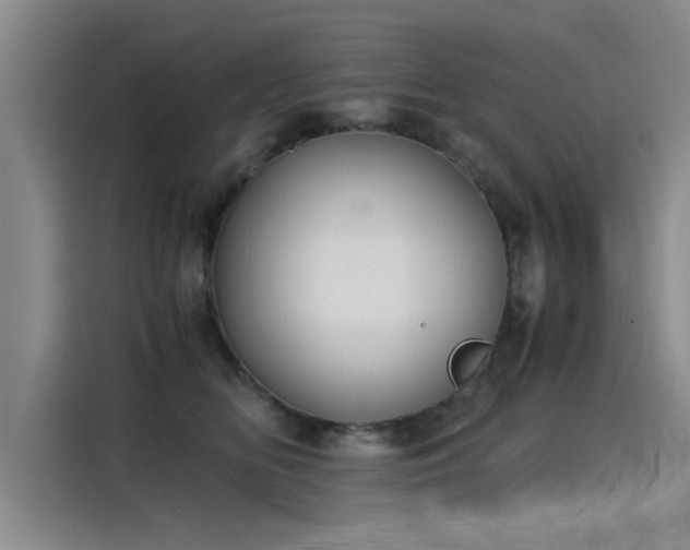 X0000115280518200911061331