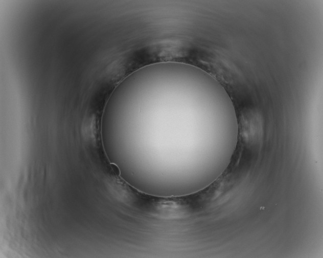 X0000115280519200911061331
