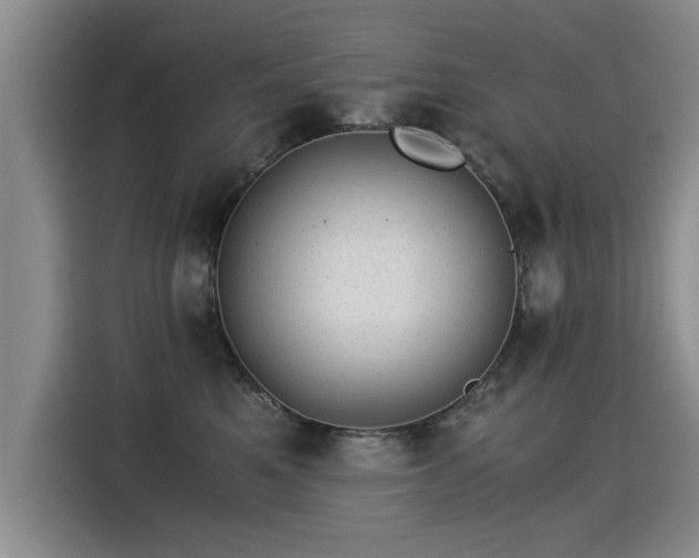 X0000115280521200911061331
