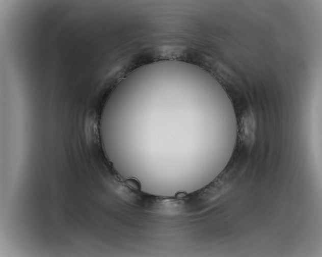 X0000115280522200911061331