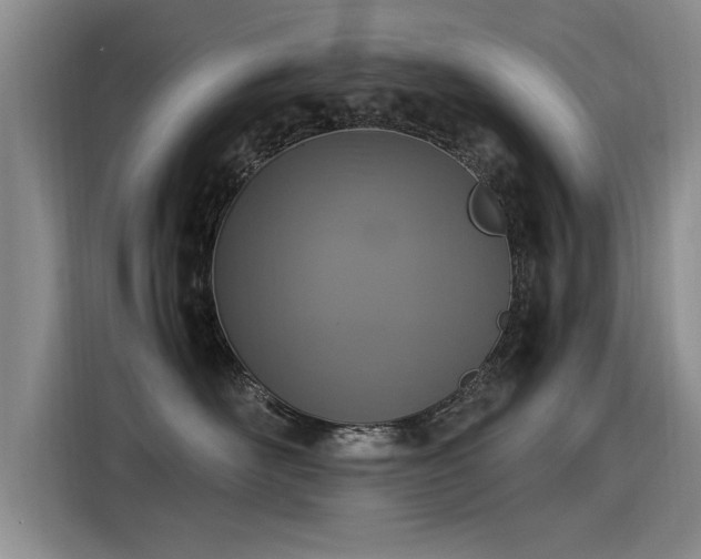 X0000115280526200911061330