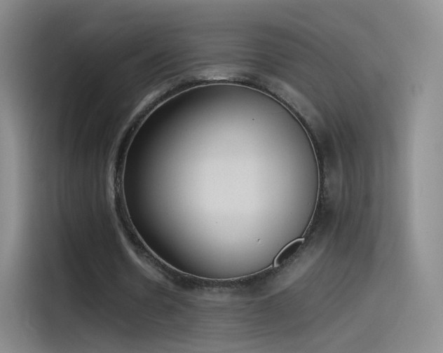 X0000115280530200911061330