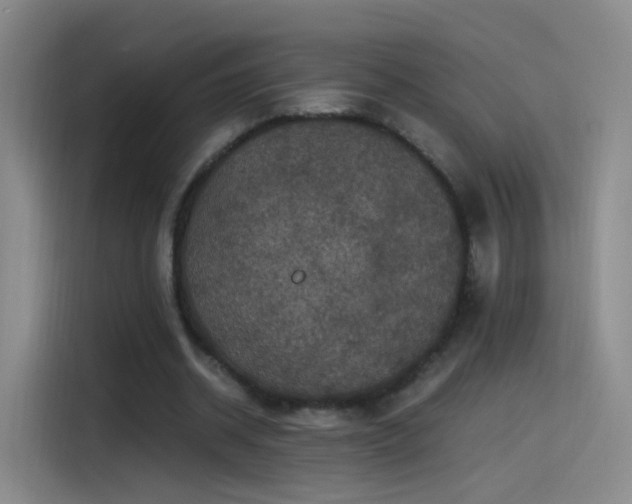X0000115280534200911061330