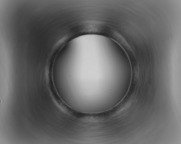 X0000115280538200911061330