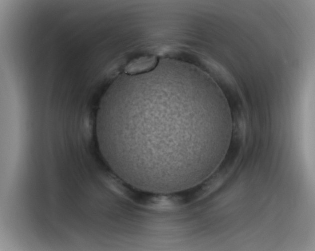 X0000115280558200911061330