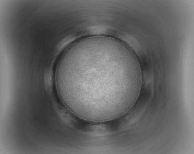 X0000115280583200911061330