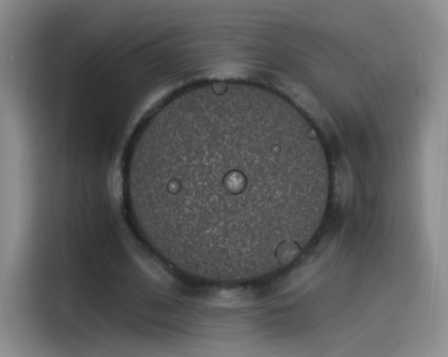 X0000115280584200911061330