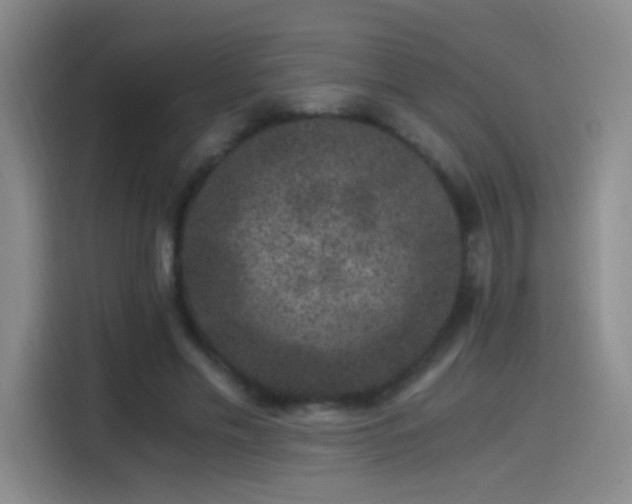 X0000115280589200911061330