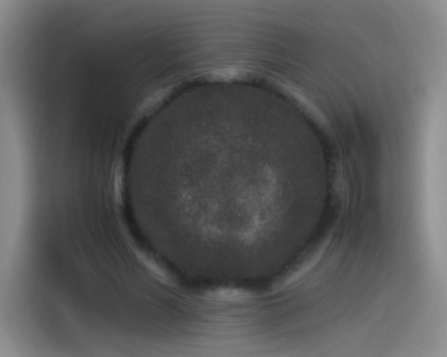 X0000115280590200911061330