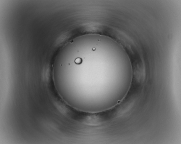 X0000115280591200911061330
