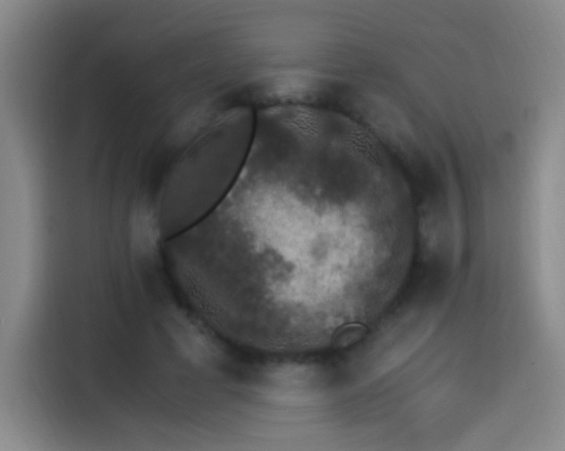 X0000115280593200911061330