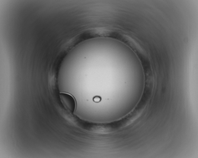 X0000115280597200911061330