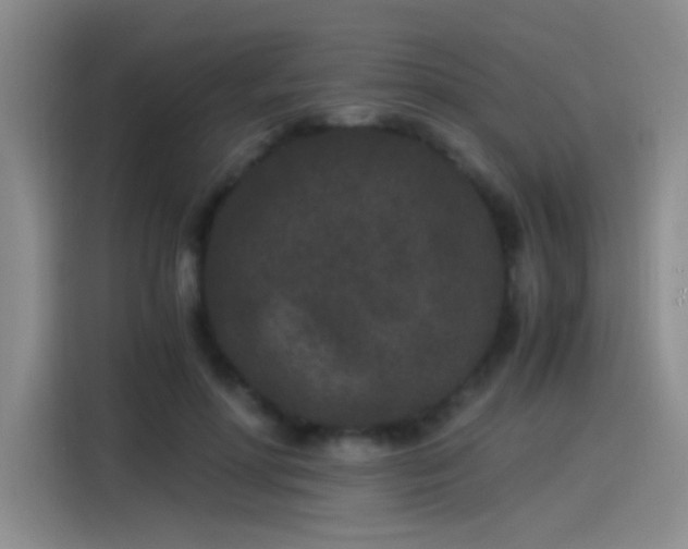 X0000115280598200911061330