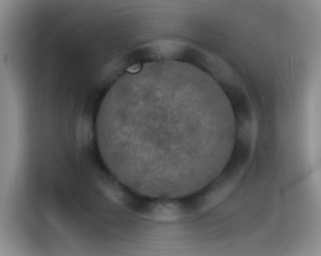 X0000115280599200911061330