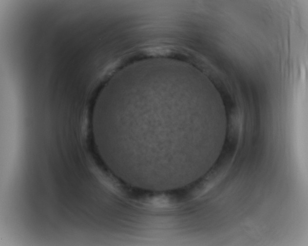 X0000115280600200911061329