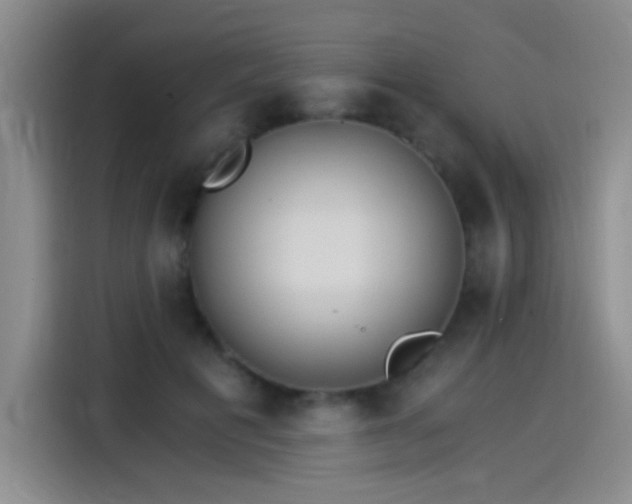 X0000115280601200911061329