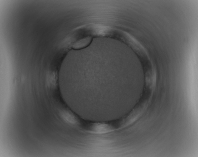 X0000115280605200911061329