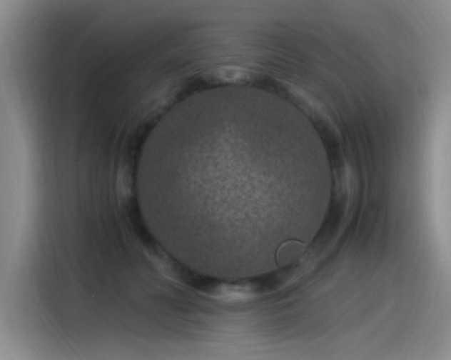 X0000115280606200911061329