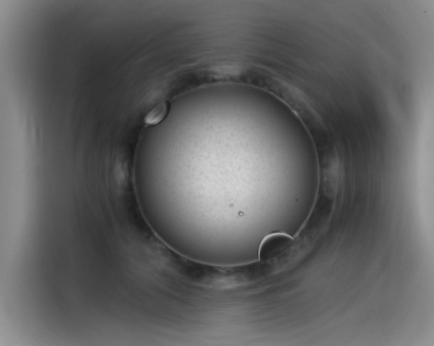 X0000115280608200911061329