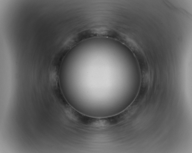 X0000115280609200911061329