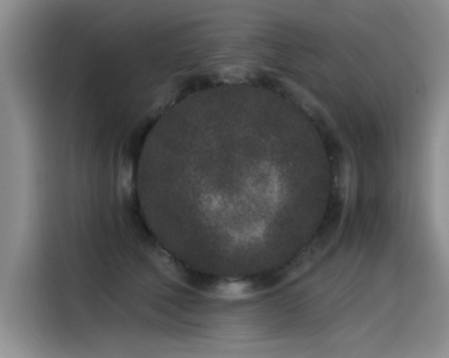 X0000115280610200911061329