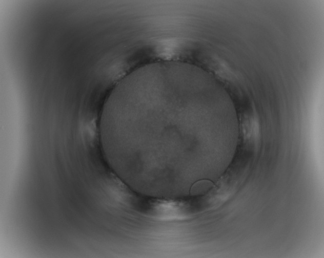 X0000115280611200911061329
