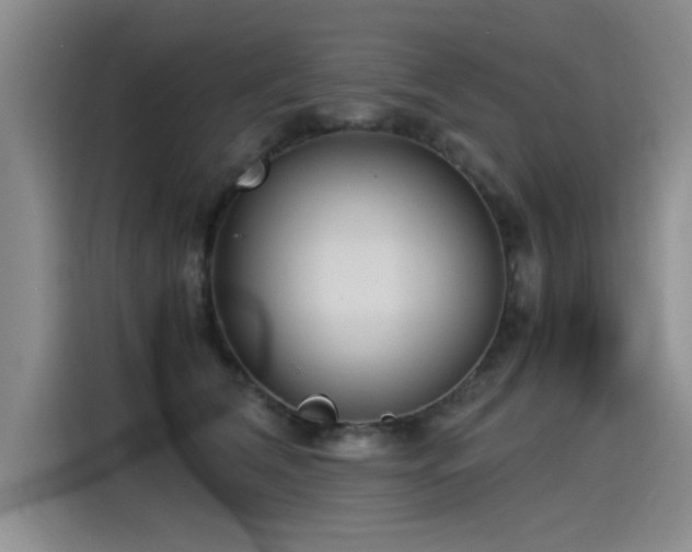 X0000115280612200911061329
