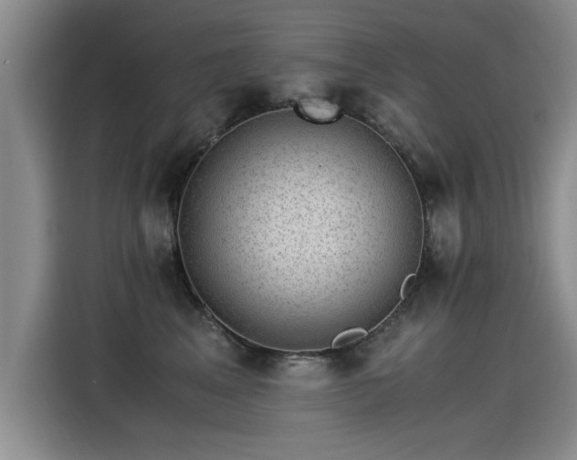 X0000115280617200911061329
