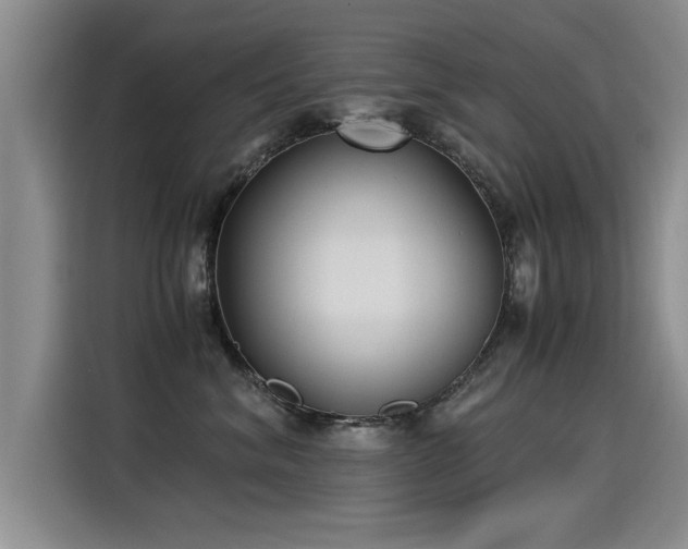 X0000115280620200911061329