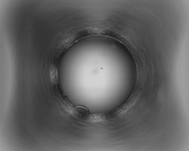 X0000115280624200911061329