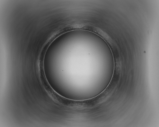 X0000115280626200911061329