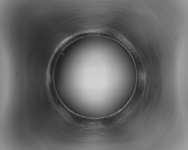 X0000115280628200911061329