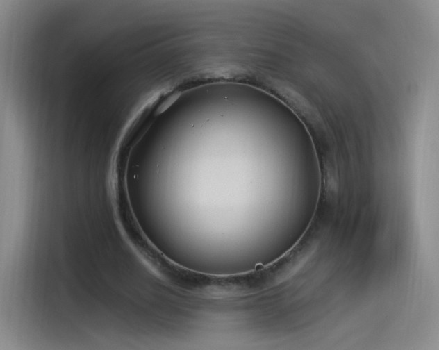 X0000115280630200911061329