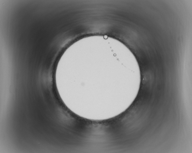 X0000115280632200911061329