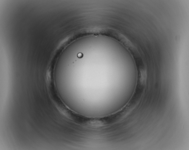 X0000115280636200911061329