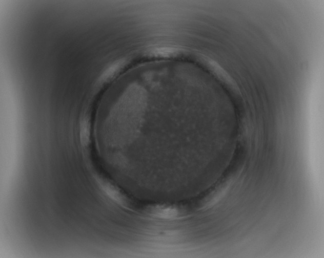 X0000115280640200911061329