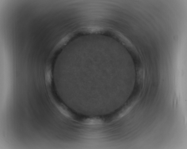 X0000115280644200911061329