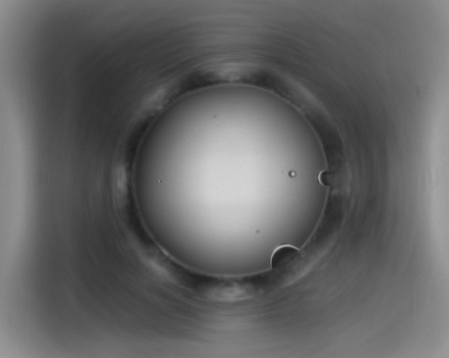X0000115280646200911061329