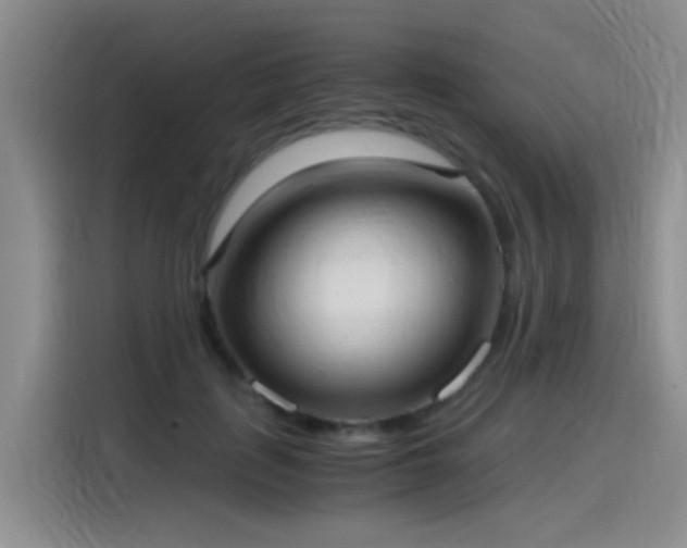 X0000115280651200911061329