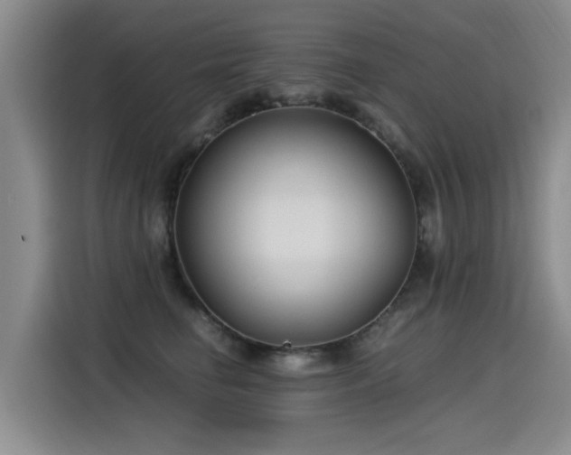 X0000115280662200911061329