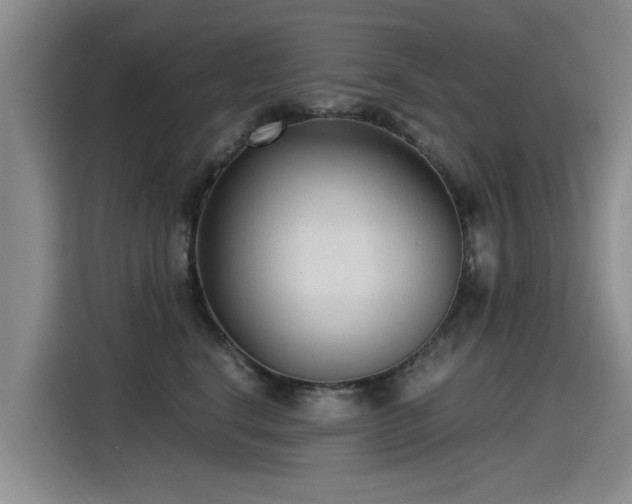 X0000115280664200911061329