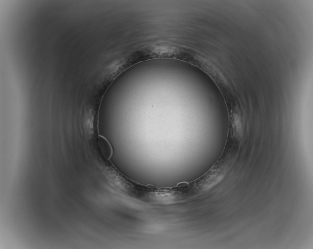 X0000115280668200911061329