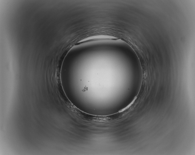 X0000115280671200911061329