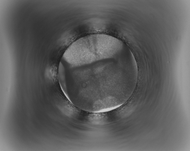 X0000115280672200911061329