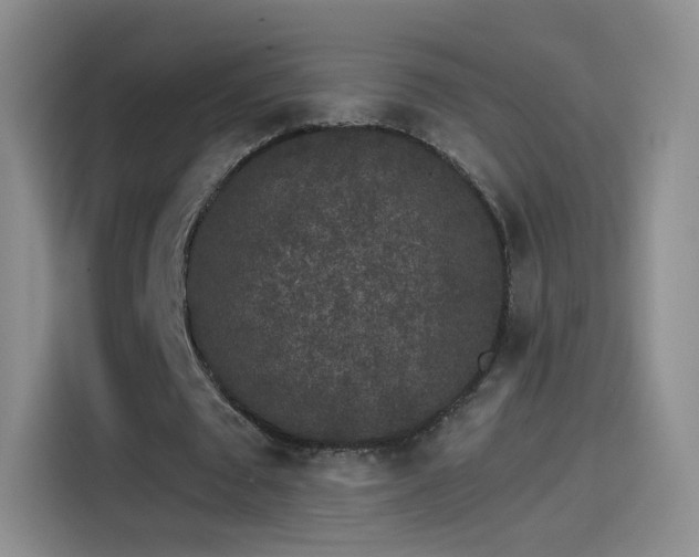 X0000115280673200911061329