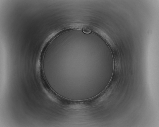 X0000115280674200911061329