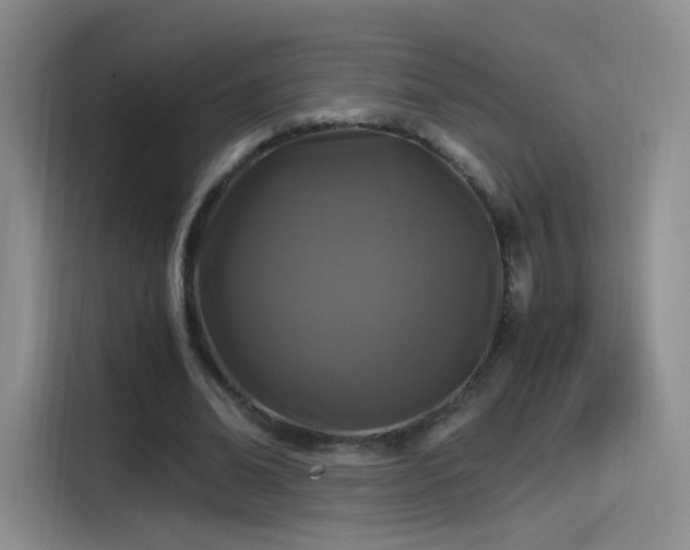 X0000115280678200911061328