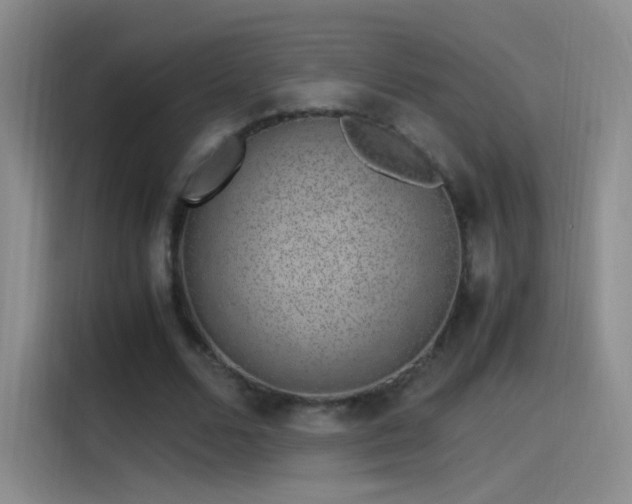 X0000115280680200911061328